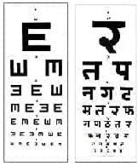 eyevision english hindi eye test chart vision test chart price