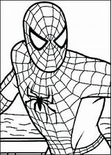 Baby Spiderman Coloring Pages Getdrawings Getcolorings Source Sheets Printable sketch template