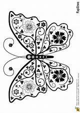 Papillon Fleurs Hugolescargot Papillons Adulte Adultes Colorier Coloriages Målarböcker Représentant Färgläggningssidor Schmetterling Difficile Choisir Tableau Kawaii sketch template
