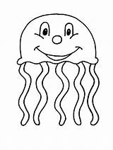 Jellyfish Medusa Qualle Pintarcolorir Malvorlagen Malvorlage Quallen Xcolorings Cliparts sketch template