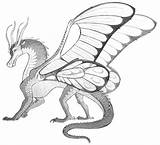 Silkwing Silkwings Feu Hivewing Royaumes Hybrids Destiny Hivewings Edits Leafwings Monster Starflight Wingsoffire Sunny Dragonets Pantala Seleccionar sketch template