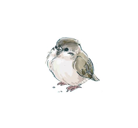 Art Bird Cute Drawing Illustration Image 427542 On
