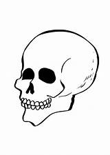 Skull Coloring Pages Kids Printable Bones Cliparts Print Template Worksheet Teenagers Clip Gif Book Designs Large sketch template