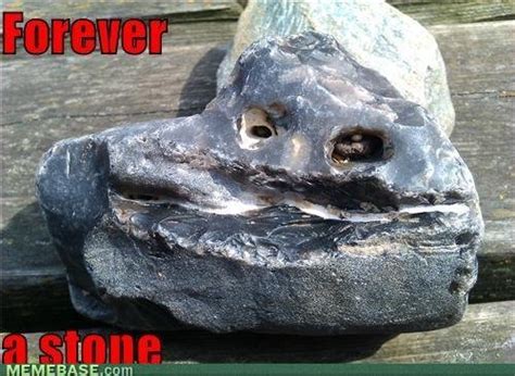 meme   stone