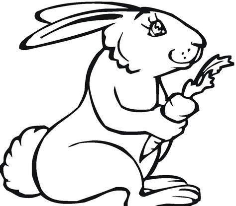 rabbit coloring pages kidsuki