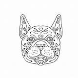Bulldog Patrimonio Aloysius Head 8th sketch template