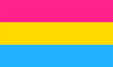 Pansexual Pride Outdoor Quality Flag Mrflag