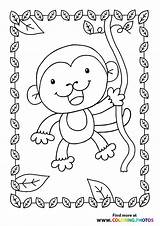 Liana Monkeys sketch template