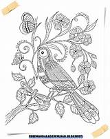 Vogel Colorear Donner Ailes Ausmalen Marica Difficile Thérapie Adulte Perroquet Chispis Coloriages Zeichen Prosite sketch template