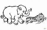 Tigre Olifant Elefante Cub Kleurplaten Tijger Schattige Dieren Printen Speelt Cachorro Olifanten Scribblefun Tijgers sketch template