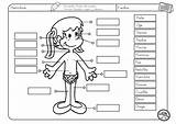 Niño Aula Cumplimentar Recursos Didactalia sketch template