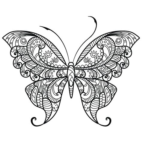 butterfly coloring pages  adults  images  butterflies coloring