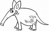 Coloring Armadillo Aardvark Cartoon Getcolorings sketch template