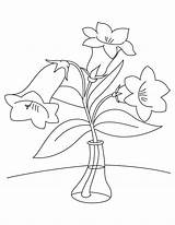 Coloring Ausdrucken Bellflower Blumen Bestcoloringpages Glockenblume sketch template
