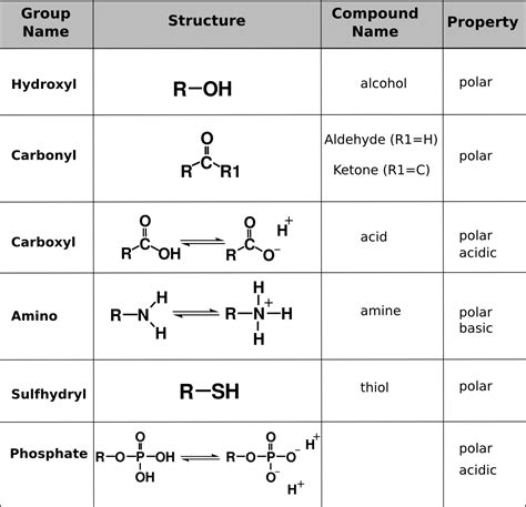 organic chemistry openstax biology