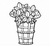 Basket Flowers Coloring Coloringcrew sketch template