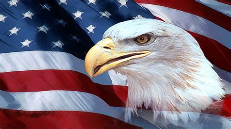 patriotic bald eagle wallpaper  images