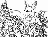 Coloring Spring Pages Coloringpagesabc Posted Printable sketch template