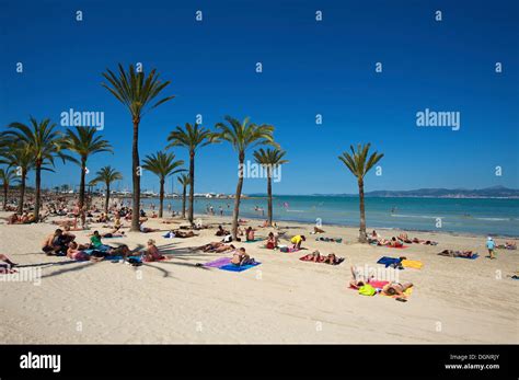 tourists  playa de sarenal beach sarenal palma de mallorca stock photo  alamy