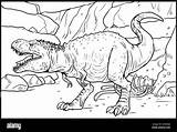 Tyrannosaurus Dinosaur Coloring Tirannosauro Dinosaurier Ausmalbild Dinosauro Carnivorous Isolated Colorare Bambini Indominus Jurassic Disegni Malseite Carnivoro Ausdrucken Fleischfressende Kostenlos Stockfotos sketch template