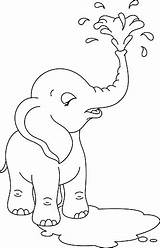 Elephant Baby Coloring sketch template