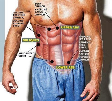 chiseled abs hubpages