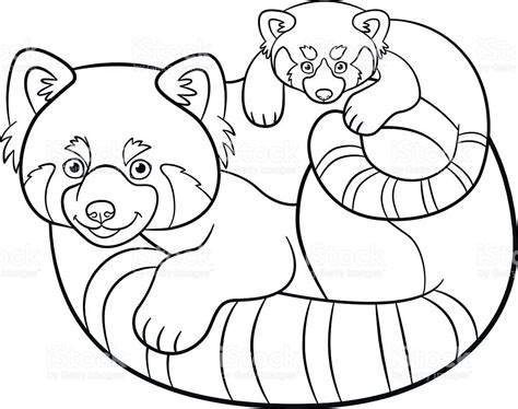 coloring pages mother red panda   cute baby panda coloring