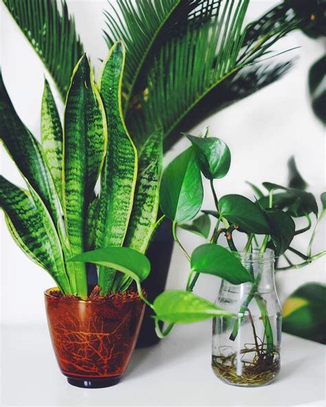 80 Diy Plant Stand Ideas To Fill Your Room With Greenery