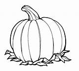 Pumpkin Coloring Pages Leaves Drawing Kids Leaf Color Line Clipart Printable Print Cliparts Maple Sugar Sketch Use Thanksgiving Clipartbest Getcolorings sketch template