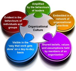 organization culture development strategy  practices