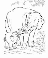 Coloring Elephant Pages Animals Baby Wild Kids Animal African Printable Mom Mother Print Drawing Sheets Colouring Zoo Elephants Clip Activity sketch template