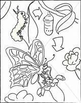 Caterpillar Cocoon Butterfly Coloring Pages Church Clipart Sharefaith Cycle Life Color Transformation Drawing Kids Children Childrens Valentines Printable Choose Board sketch template