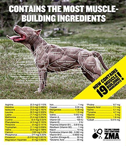 bully max pro protein powder  dogs muscle pill large small natural