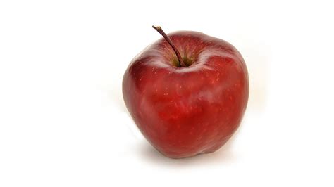 images apple fruit food produce fruits apples flowering