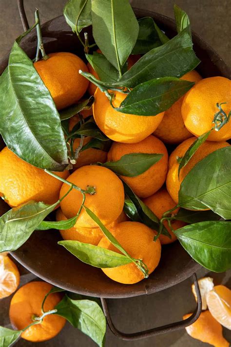 mandarin oranges  harvest kitchen