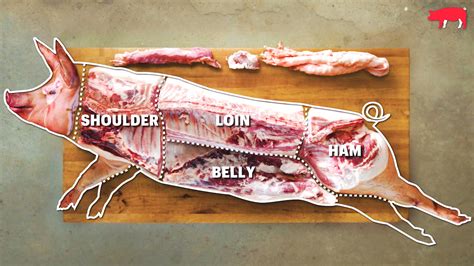 butcher  entire pig  cut  pork explained