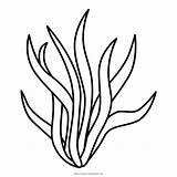 Seaweed Drawing Coloring Kelp Pages Drawings Forest Line Transparent Simple Clipartmag Paintingvalley Getdrawings Preview Flower Cleanpng Clip sketch template