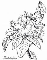 Rhododendron Wreath Fairy Designlooter Clipartmag sketch template