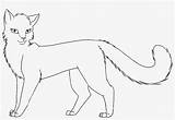 Warrior Cats Coloring Outline Pages Scourge Related Transparent Pngkey sketch template