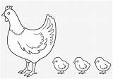 Colouring Hen Coloring Chicks Pages Chick Pngkey sketch template