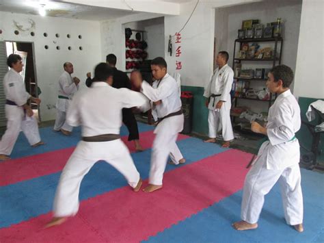 Escola Dojo Kun De Karatê