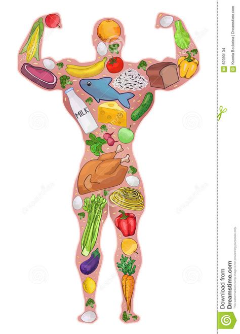 athlete healthy man food diet vector illustration