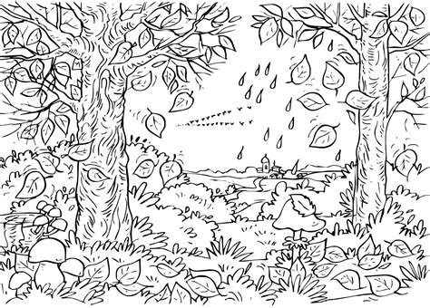 forest  nature printable coloring pages
