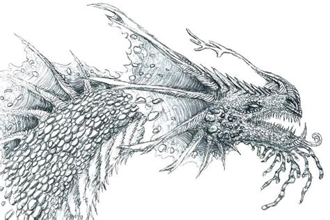 image result  coloring pages dragons dragon coloring page