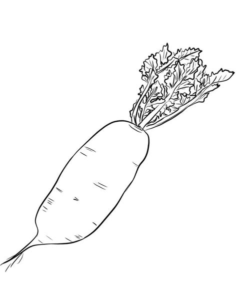 root vegetables coloring pages printable coloring pages