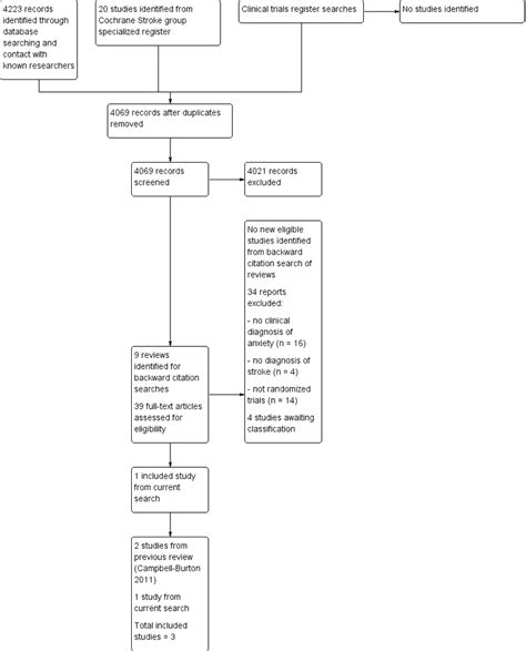 search flow diagram  searches conducted   review update