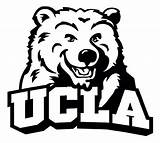 Ucla Bruins Mascot Pages Coloring Template sketch template
