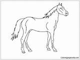 Pages Horse Pasture Coloring Color Online sketch template