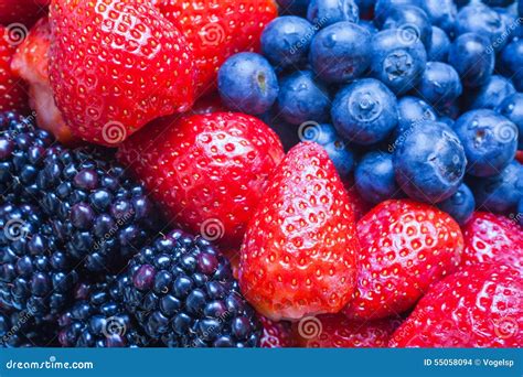 mix  blackberry blueberry  strawberry stock photo image