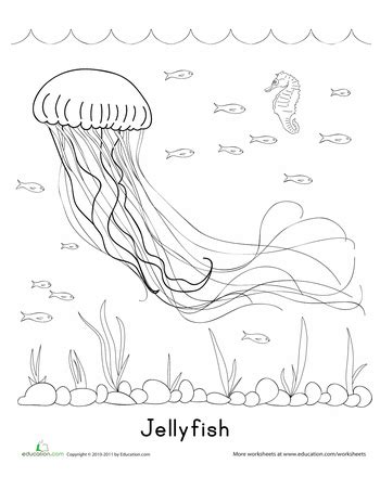 jellyfish worksheet preschool preschool  worksheets